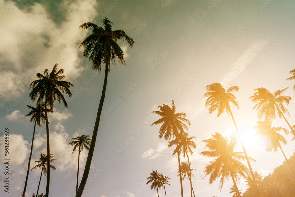 Fototapeta premium Tropical palm coconut trees on sunset sky flare and bokeh nature.