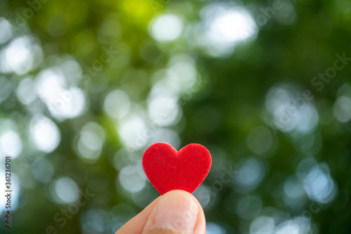 Hand hold little heart meaning feel love with green nature bokeh.