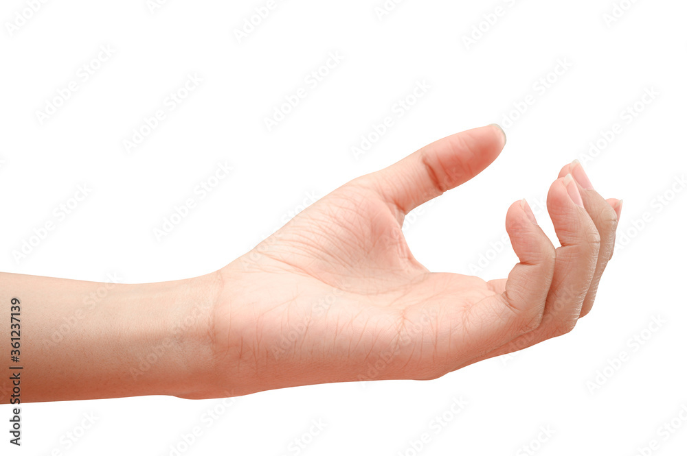 hand holding something like a bottle or can hand holding something like a bottle or can