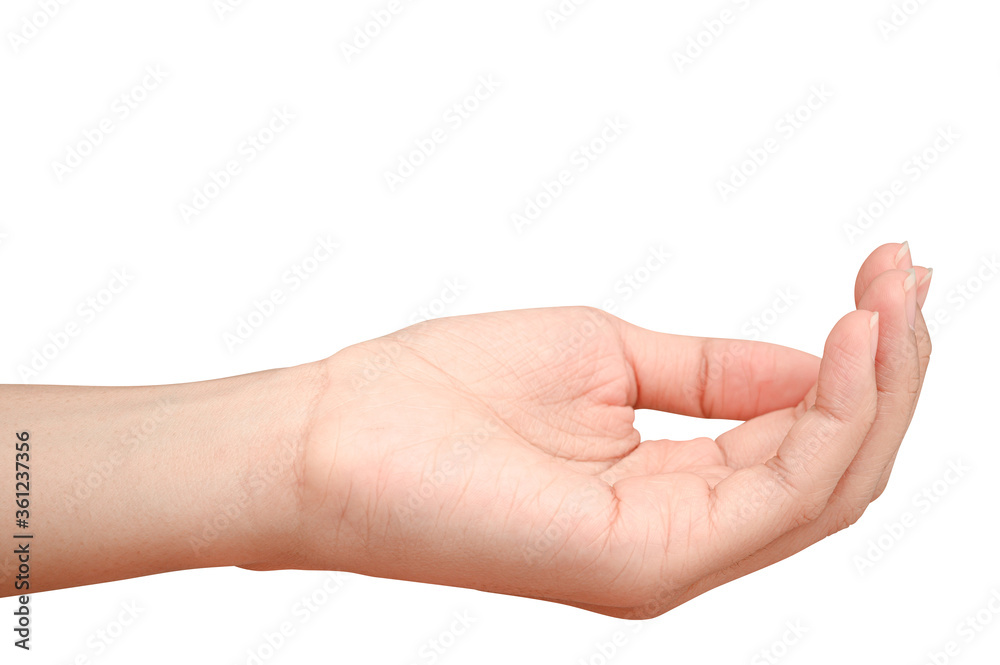 hand holding something like a bottle or can hand holding something like a bottle or can