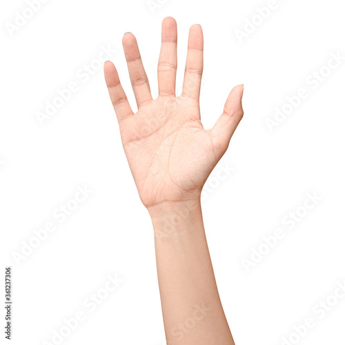 Hand open and ready to help or receive. Gesture isolated on white background with clipping path.