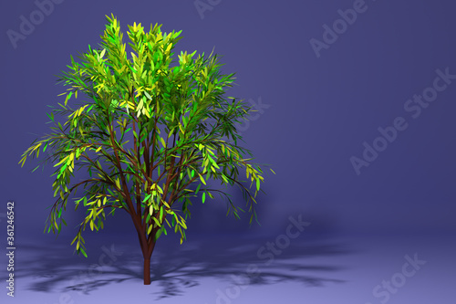 3D illustration a big green deciduous tree with a shadow on a purple background.