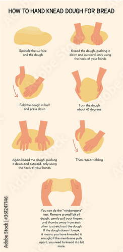 Infographic caption how to hand knead dough for bread. Process of sourdough baking. Illustration for cook book or homemade bake recipe. Vector illustration.