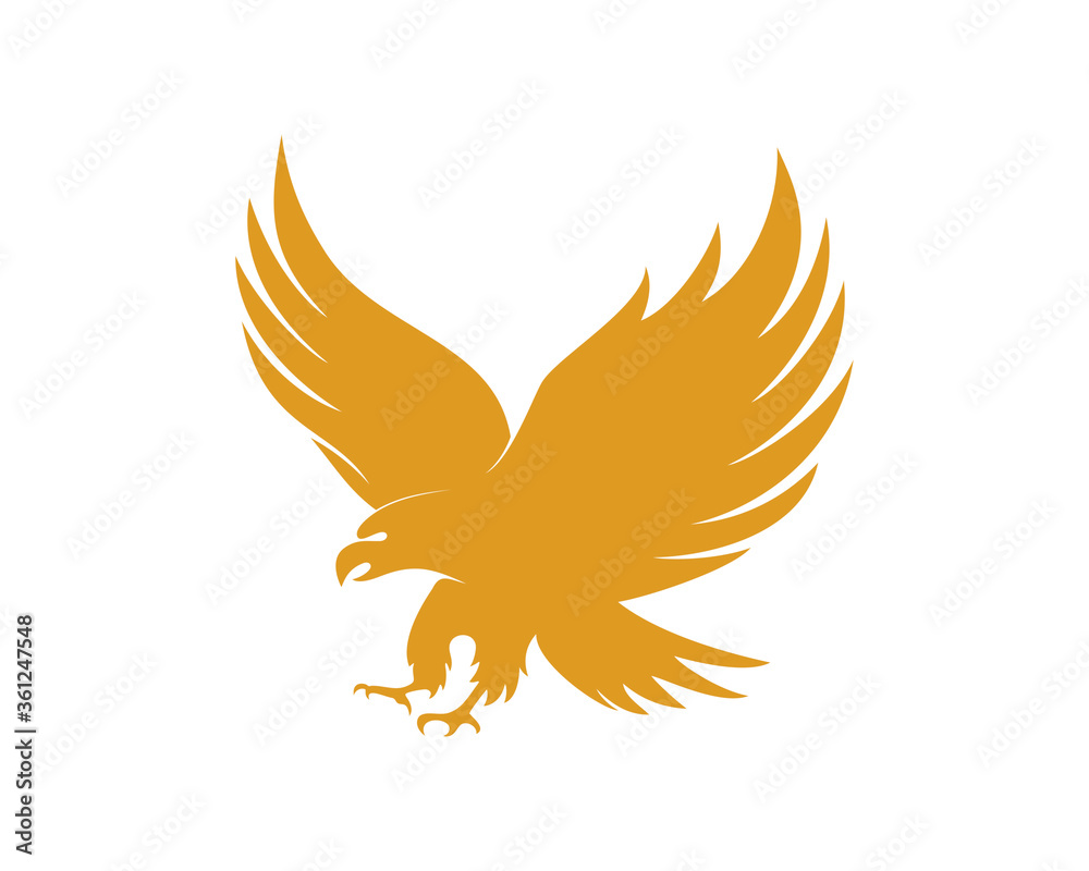 Fototapeta premium Eagle fly with golden colors