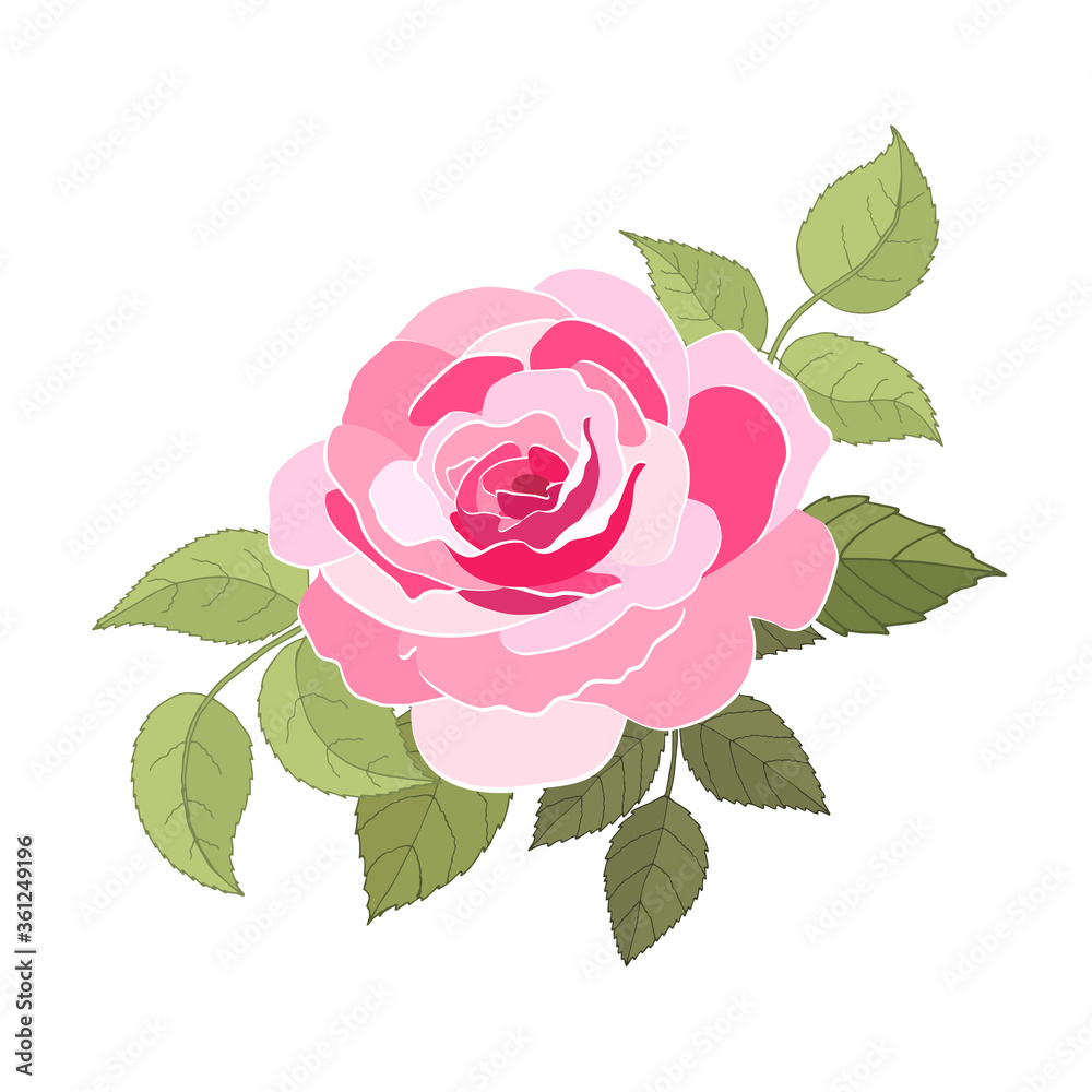 Flowers set. The rose elegant card. Vector illustration. Flowers set. The rose elegant card. Vector illustration.