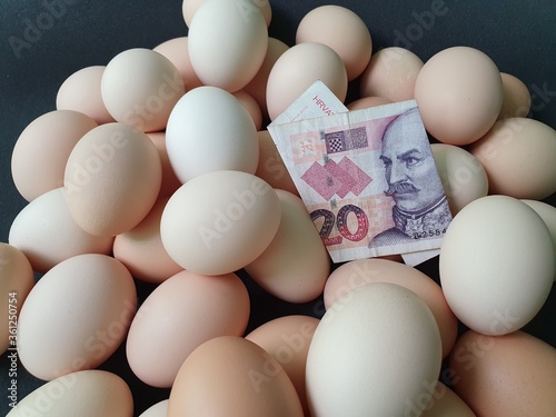 investment in organic egg with croatian money for healthy food photo