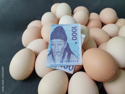 investment in organic egg with South Korean money for healthy food photo