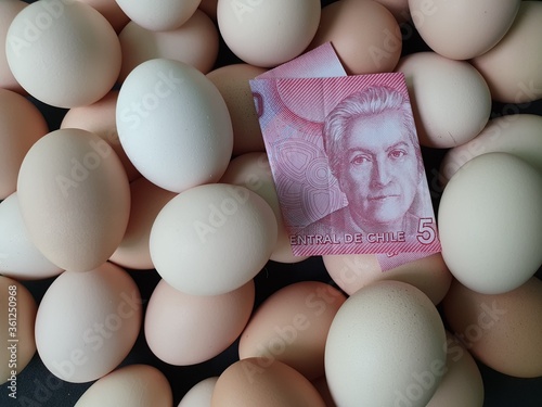 investment in organic egg with Chilean money for healthy food photo