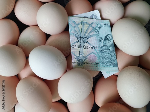 investment in organic egg with Czech money for healthy food photo