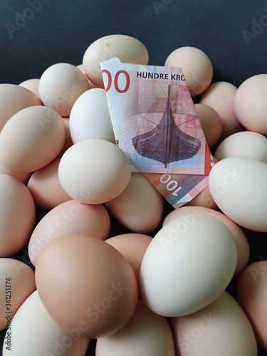 investment in organic egg with norwegian money for healthy food photo