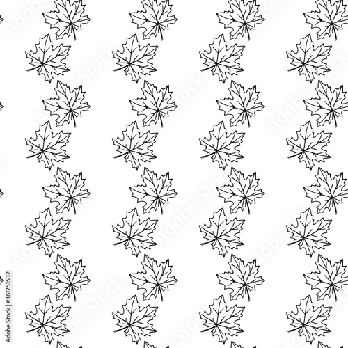 Seamless pattern of contoured maple leaves isolated on a white background. Simple vector texture for fabric, invitations, home textiles. Concept of autumn, forest, leaf fall, thanksgiving