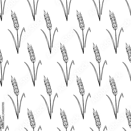 Fototapeta Naklejka Na Ścianę i Meble -  Wheat spikelets, vector seamless pattern. Black outline drawn in sketch style isolated on white background. Design of fabric, wrapping paper, packaging on the theme of bakery products, flour, harvest