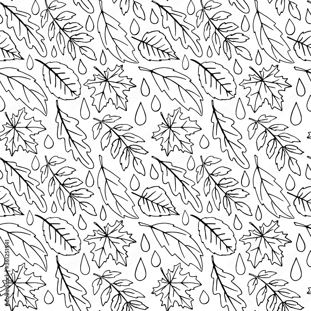 Fototapeta premium Seamless pattern of falling leaves with raindrops. Leaf fall and Rain in the forest. Vector autumn texture isolated on white background, hand drawn in sketch style, black outline