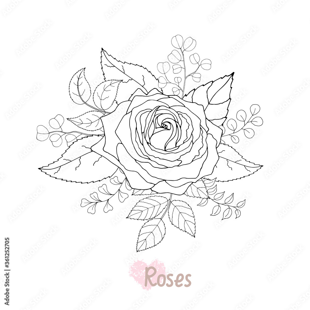 Beautiful black and white rose and leaves. Vector illustration. Beautiful black and white rose and leaves. Vector illustration.