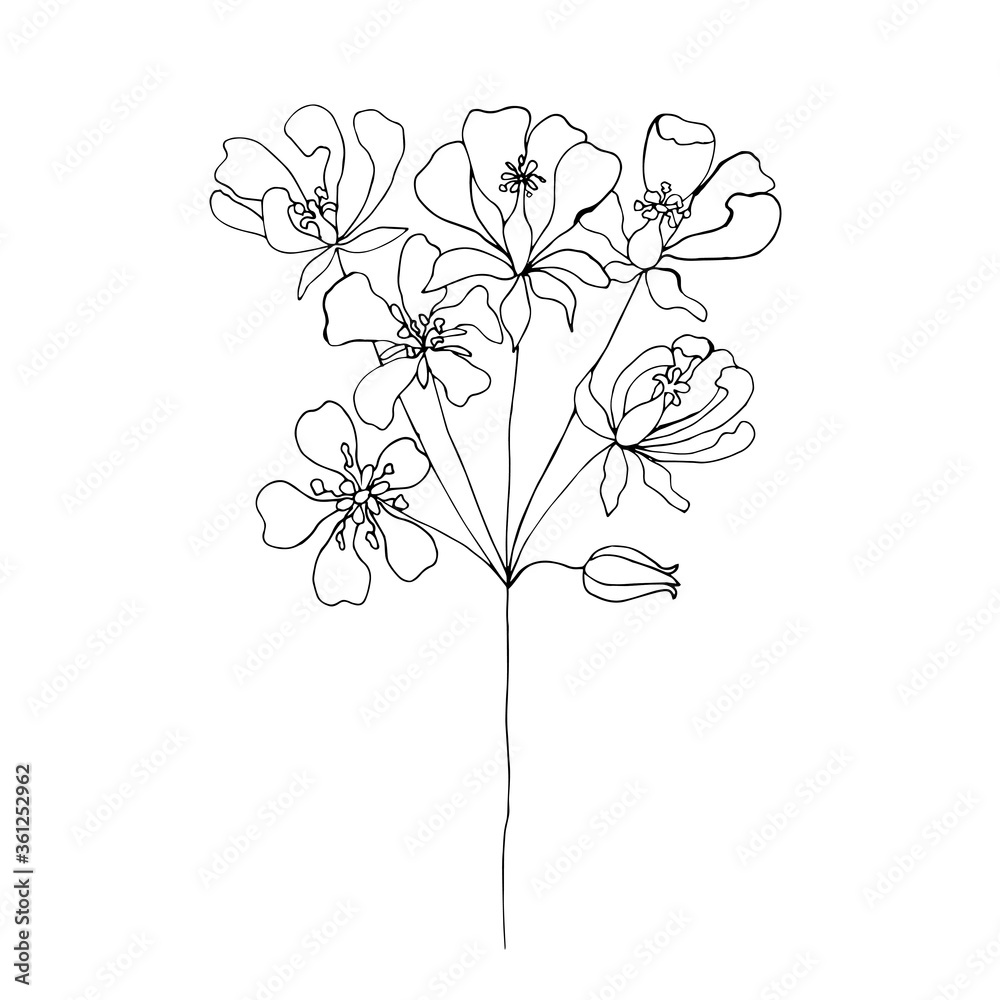 Set of wildflowers. Doodle. Hand drawn vector illustration. Set of wildflowers. Doodle. Hand drawn vector illustration.