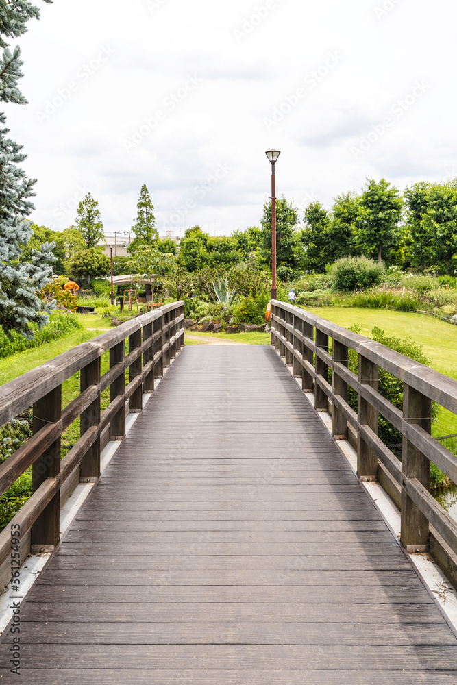 Obraz premium 林の中の橋