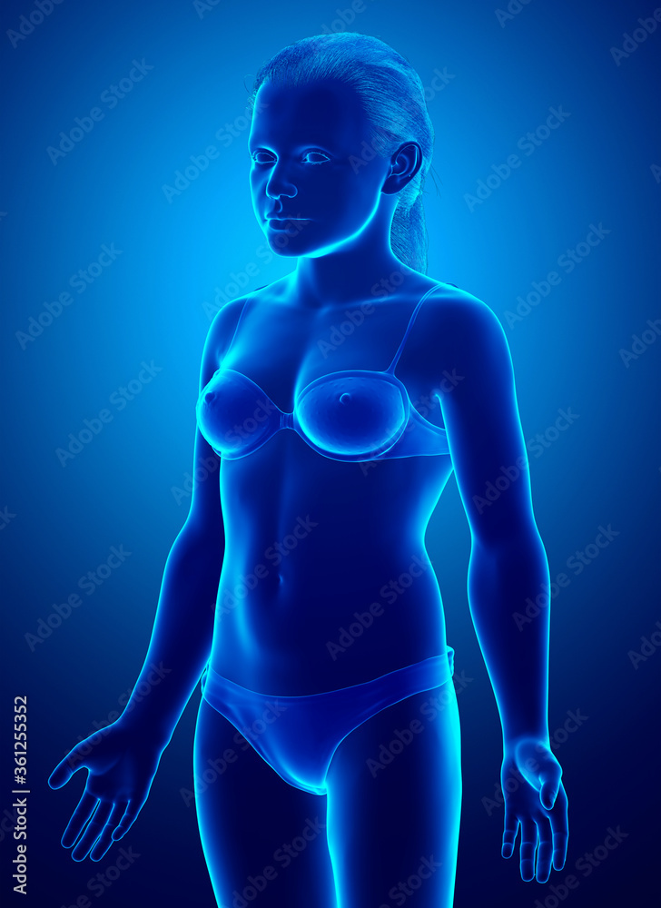 3d rendered illustration of the young Girl body