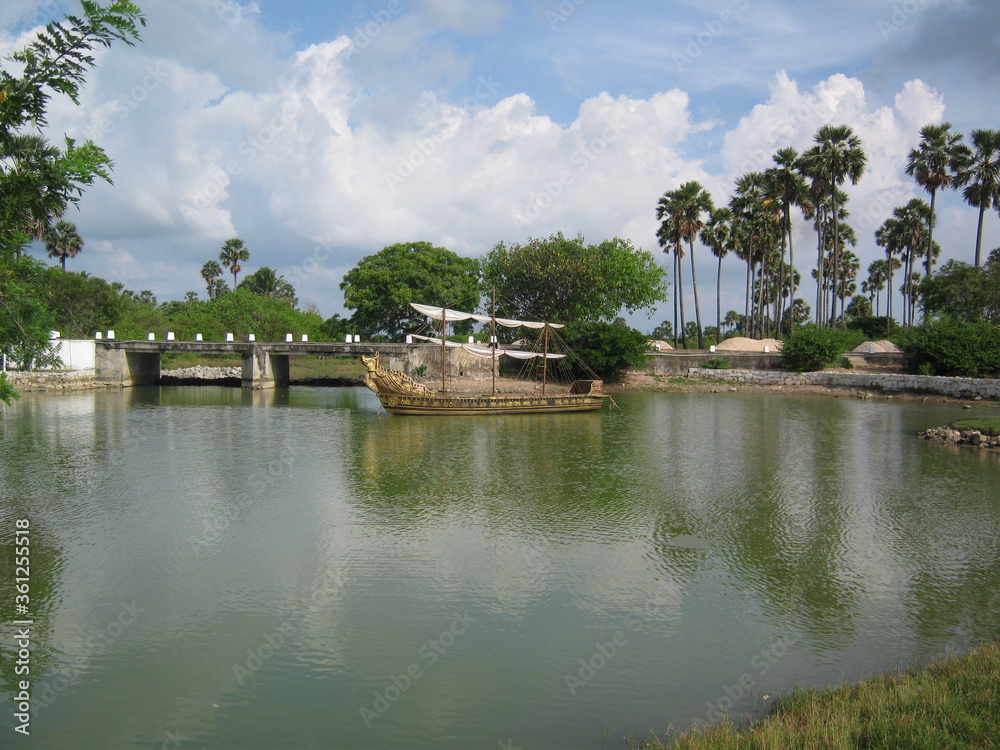 Fototapeta premium tropical garden in SriLanka