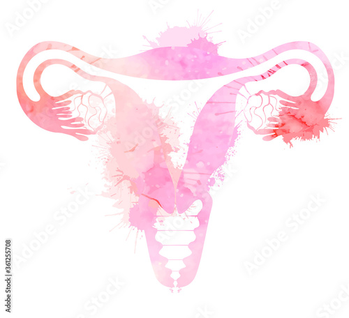 Pink silhouette anatomical uterus with watercolor splashes. Healthy female body. Woman power. Uterus with tube and ovaries. Vector illustration for articles, banners, icon, logo and your design.