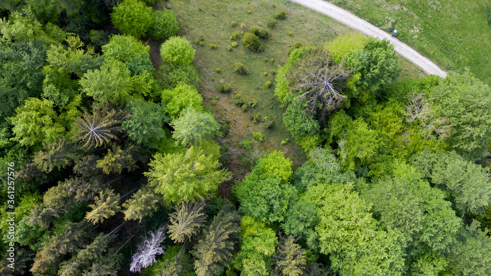 Wald und Wiesenlandschaft - Luftbild