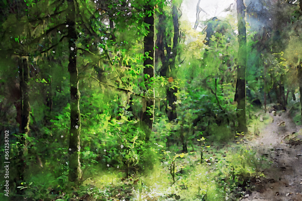 Abstract painting of trees in forest, nature landscape image, digital watercolor illustration, art for background Abstract painting of trees in forest, nature landscape image, digital watercolor illustration, art for background