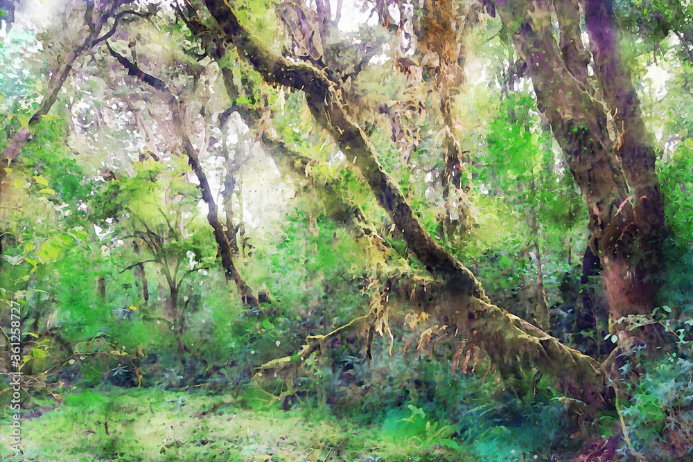 Abstract painting of trees in forest, nature landscape image, digital watercolor illustration, art for background Abstract painting of trees in forest, nature landscape image, digital watercolor illustration, art for background