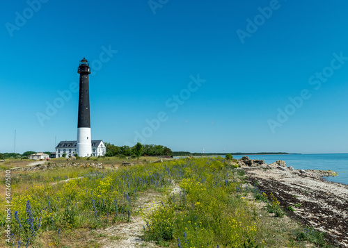 Sightseeing of Saaremaa island in sunny clear day . Sorve lighthouse, Saaremaa island, Estonia
