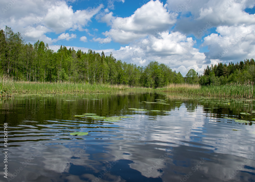 summer landscape with white cumulus clouds over the river, reflections in the water summer landscape with white cumulus clouds over the river, reflections in the water