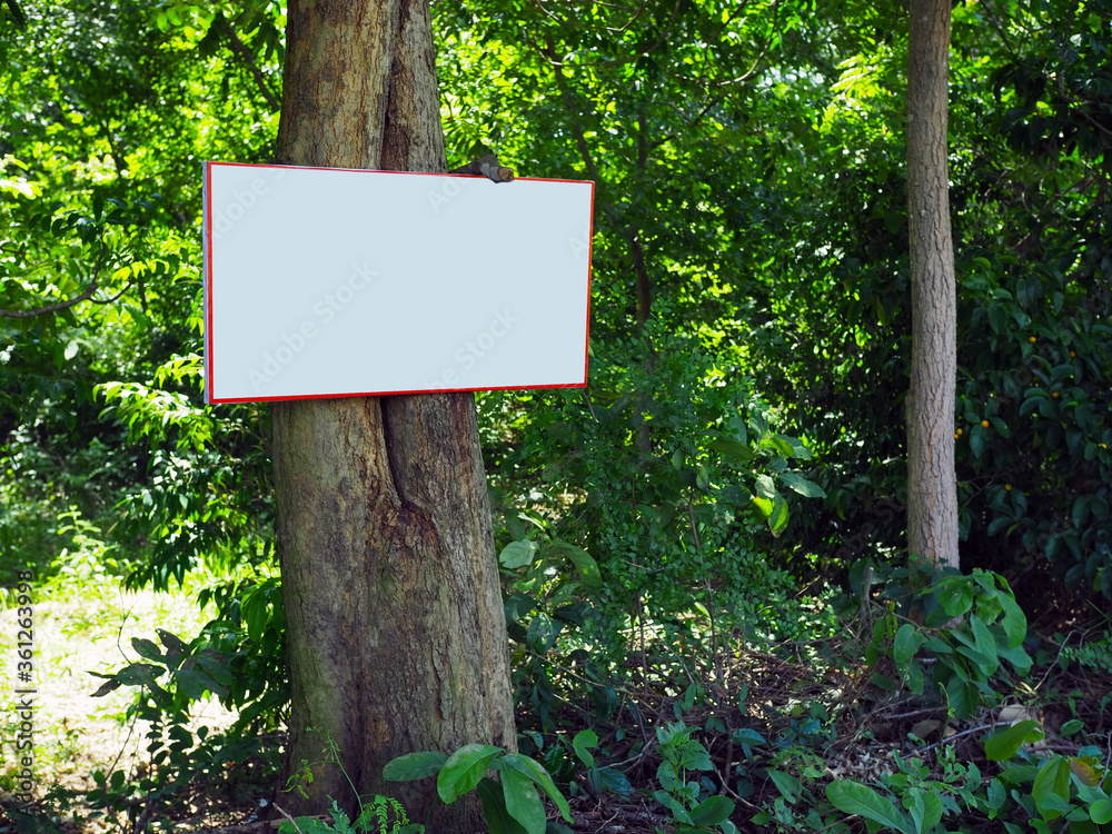 Billboard blank on trees in the forest