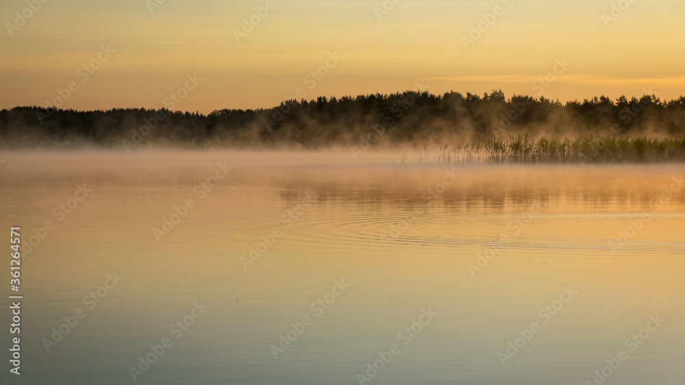 Fototapeta premium Foggy weather early in the morning on the lake. beautiful wallpapers. a mystical mist vibrates in the lake. summer sunrise