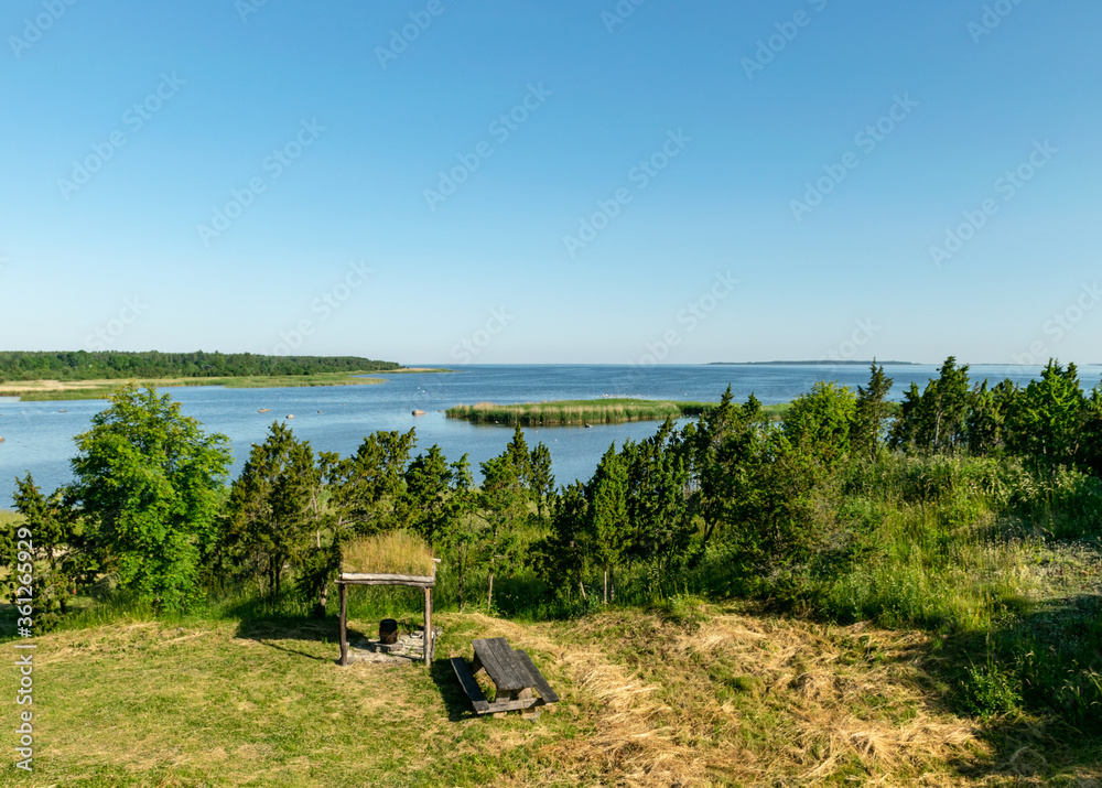 landscape with a naturally decorated seating area, wooden table and bench, summer landscape landscape with a naturally decorated seating area, wooden table and bench, summer landscape