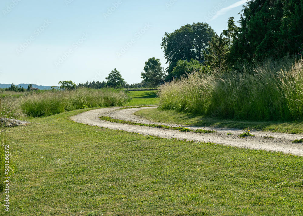 summer landscape with a simple rocky road along the sea shore