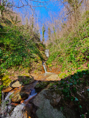 waterfall in the forest in Georgia, river in the forest