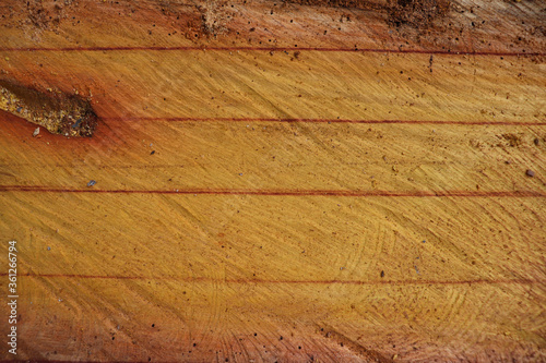 Wood grain background