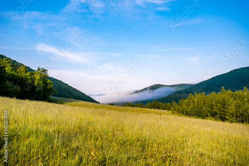 green meadow of grass on a background of mountains in the fog. Summer season of the year.