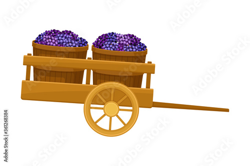 Destemmed Grapes Gathered in Wooden Baskets Transportation Vector Illustration