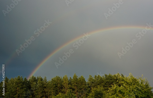 Fototapeta Naklejka Na Ścianę i Meble -  rainbow in the sky