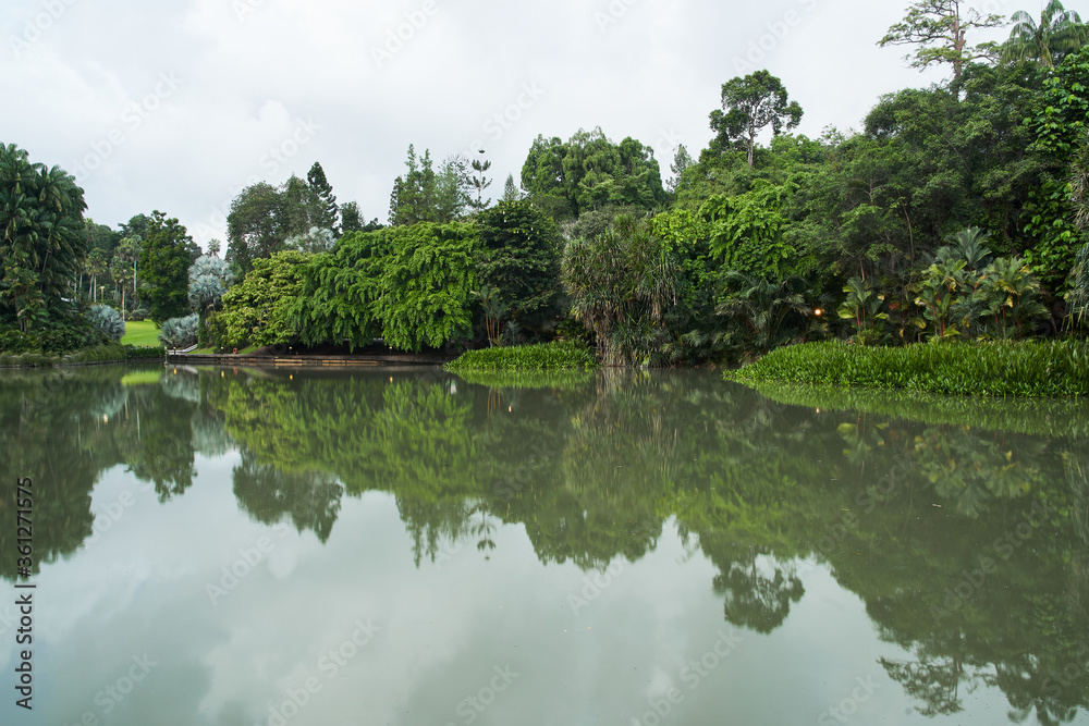 reflection of tropical trees near lake on cloudy day