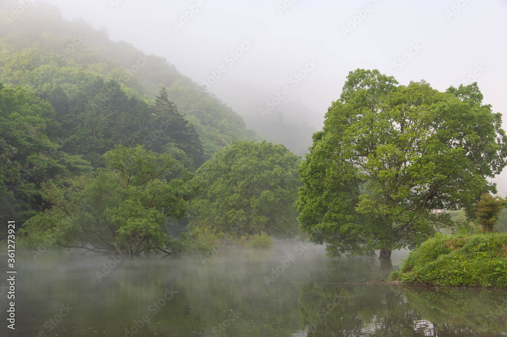 靄が美しい湖の朝