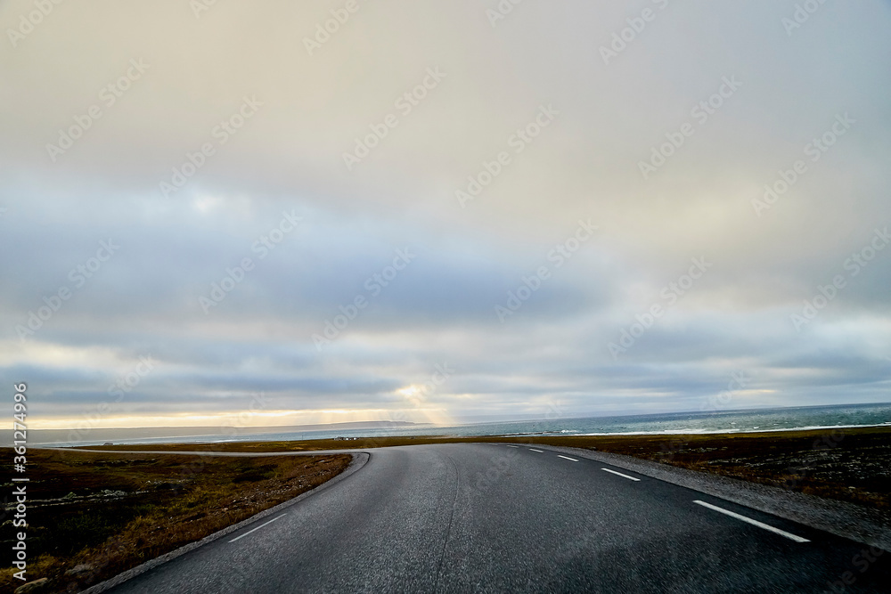 Fototapeta premium Landscape with road in tundra in Norway at cloudy evening
