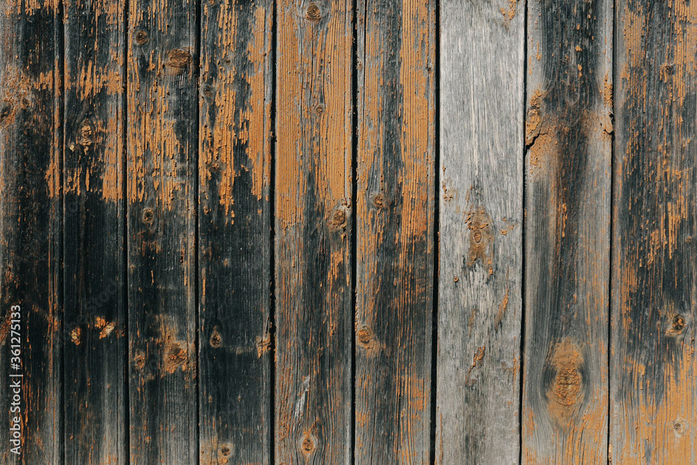 Obraz premium ..Wood wall