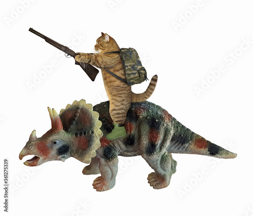 The beige cat warrior in a boots with a rifle and a backpack is riding a war triceratops. White background. Isolated. © iridi66