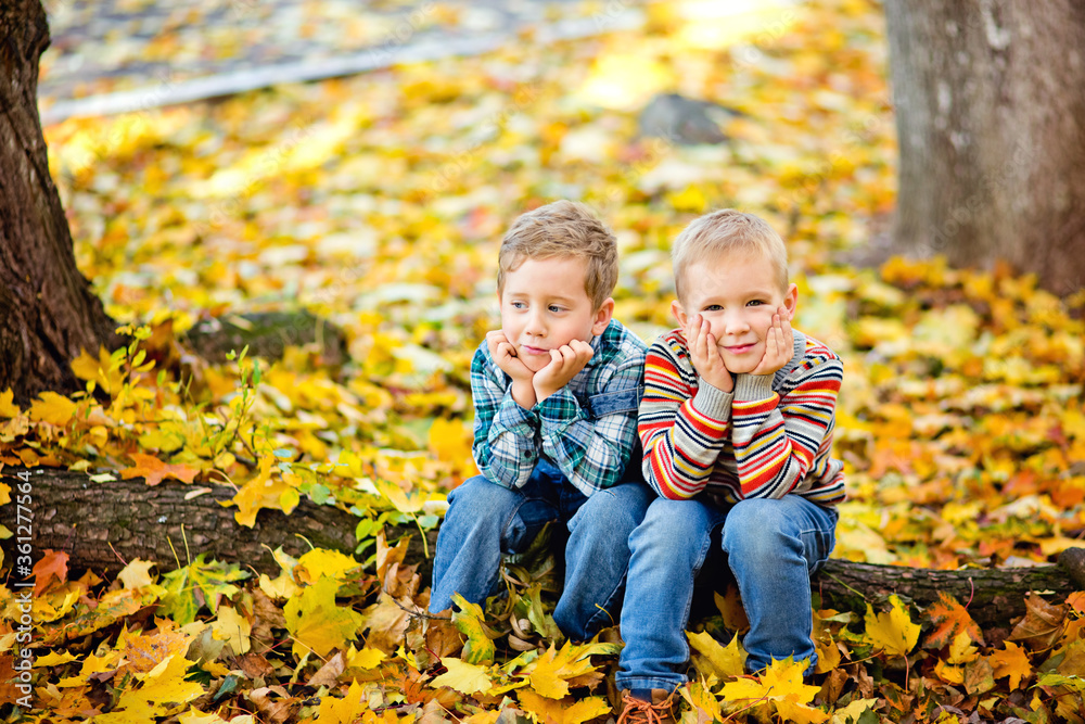 Two little boy brothers sit on a log in an autumn Park among yellow leaves.