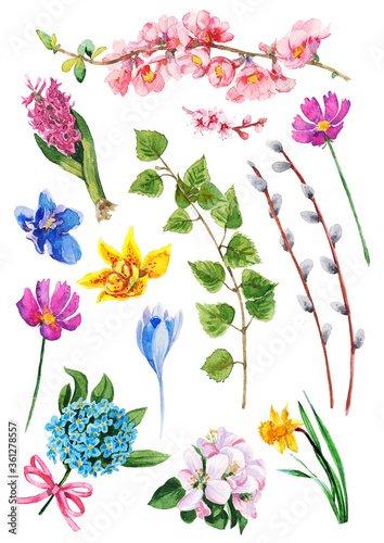 Fototapeta Naklejka Na Ścianę i Meble -  Spring flowers