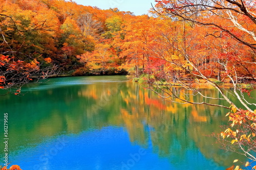 紅葉の山形蔵王ドッコ沼