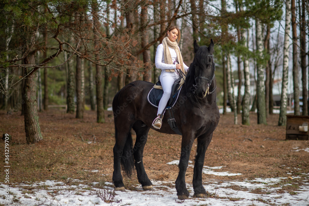 Beautiful girl with her Andalusian horse in the winter forest Beautiful girl with her Andalusian horse in the winter forest