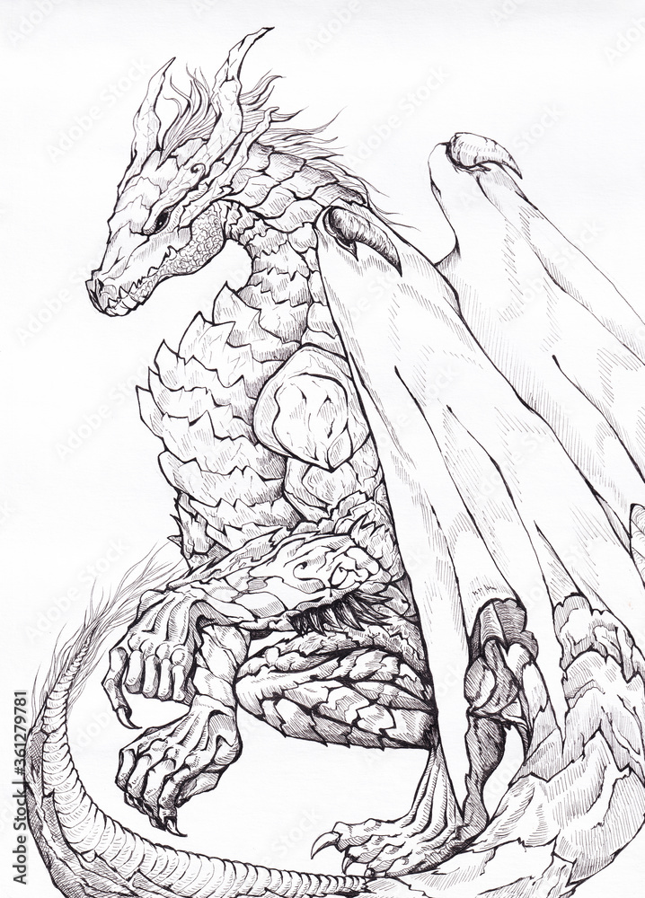Fototapeta premium ręcznie rysowane smok