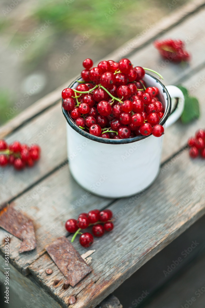 red currants on a wooden table red currants on a wooden table