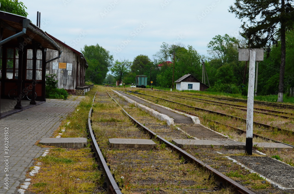 Abandoned rails of an abandoned railway in the forest