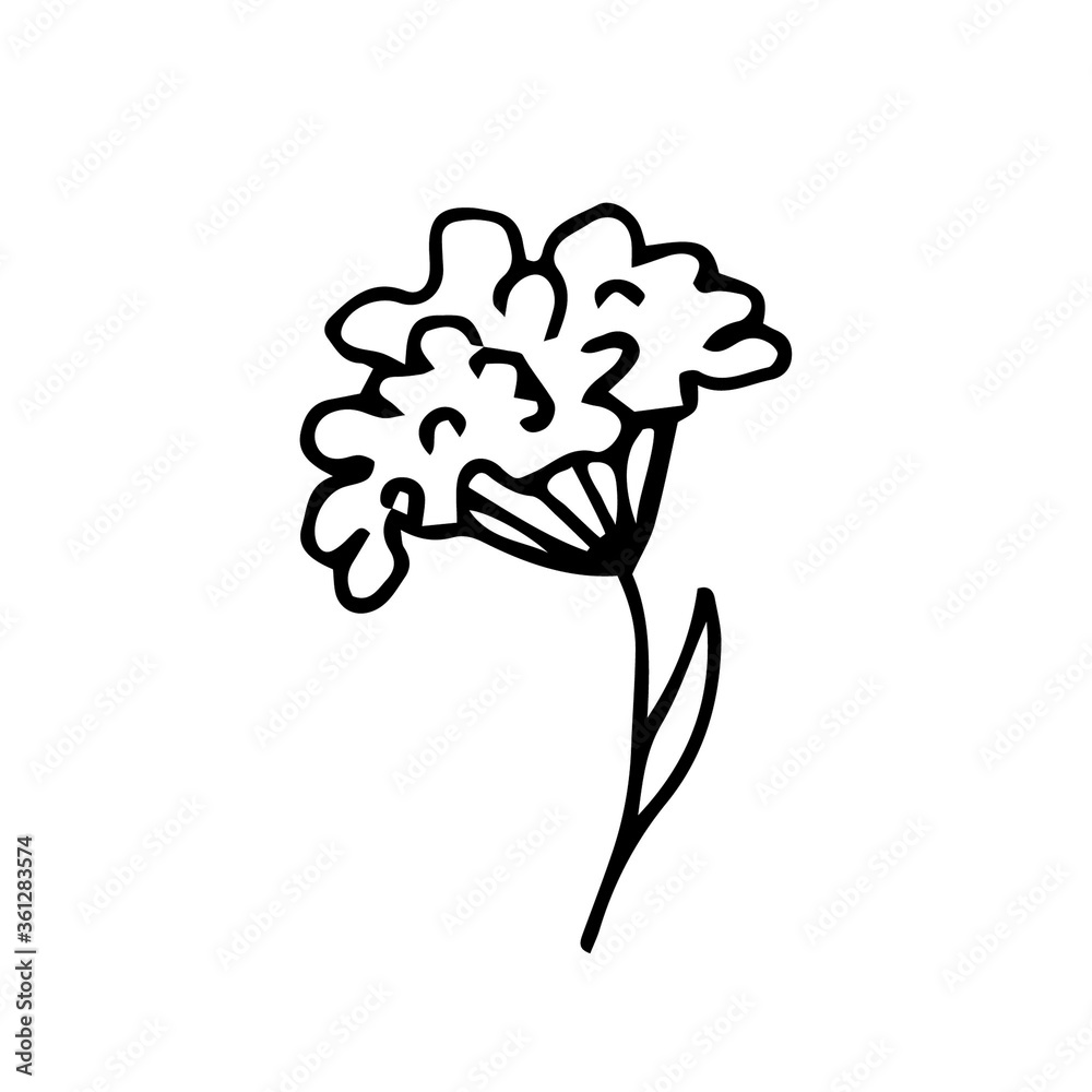 Simple cute cartoon flower on a stalk isolated on a white background. Vector sketch in black outline. For prints, logo, sticker. Simple cute cartoon flower on a stalk isolated on a white background. Vector sketch in black outline. For prints, logo, sticker.